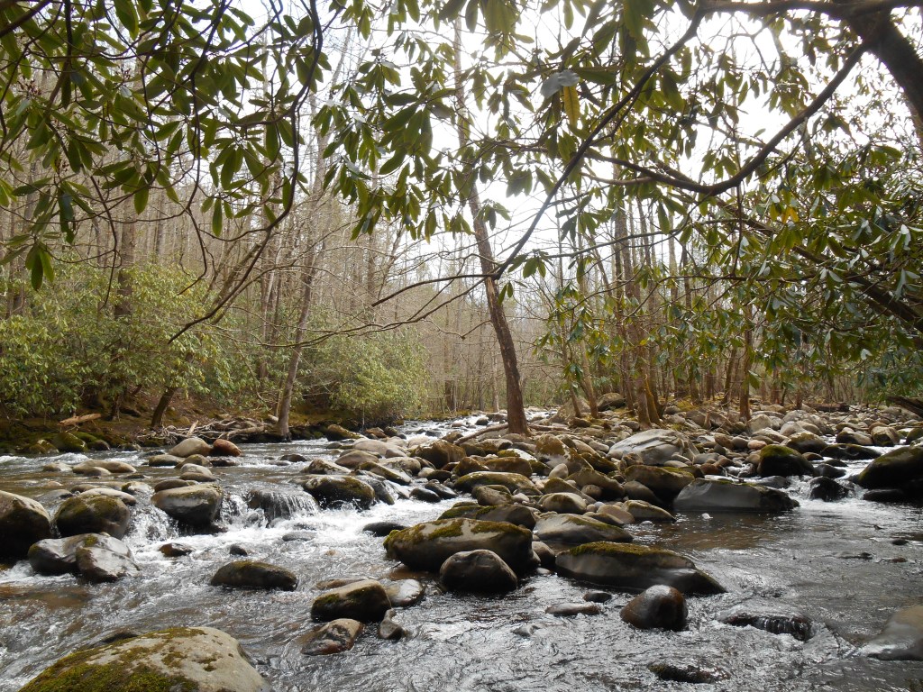 ๐ณThe Living Library